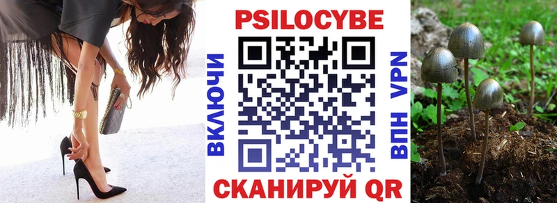 Псилоцибиновые грибы GOLDEN TEACHER Западная Двина