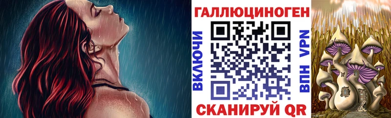 Галлюциногенные грибы мицелий  Западная Двина 